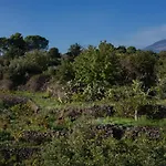 Casa Museo A' Rina - Palmento Storico Siciliano Villa *