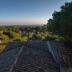 Villa Casa Museo A' Rina - Palmento Storico Siciliano Belpasso