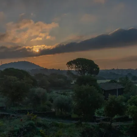 Villa Casa Museo A' Rina Belpasso